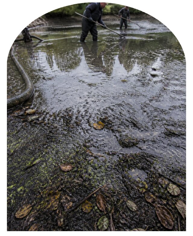 Очистка пруда в Белорецке от ила мусора и водорослей с вывозом